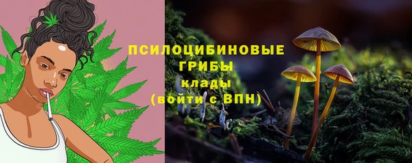 прущие грибы Алексеевка