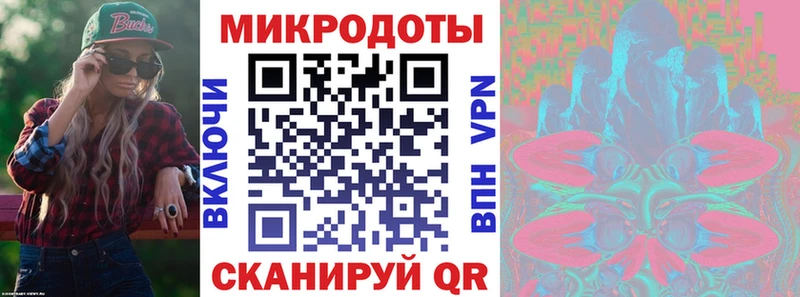 дарк нет как зайти  Куйбышев  Псилоцибиновые грибы Cubensis 